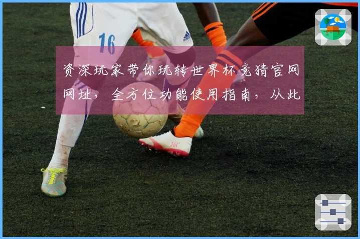 资深玩家带你玩转世界杯竞猜官网网址，全方位功能使用指南，从此畅玩无忧。