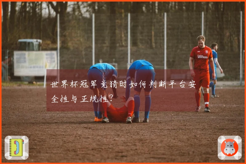 世界杯冠军竞猜时如何判断平台安全性与正规性?