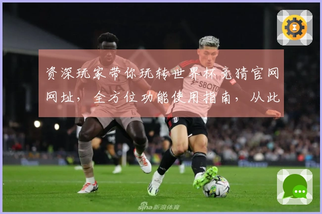 资深玩家带你玩转世界杯竞猜官网网址，全方位功能使用指南，从此畅玩无忧。