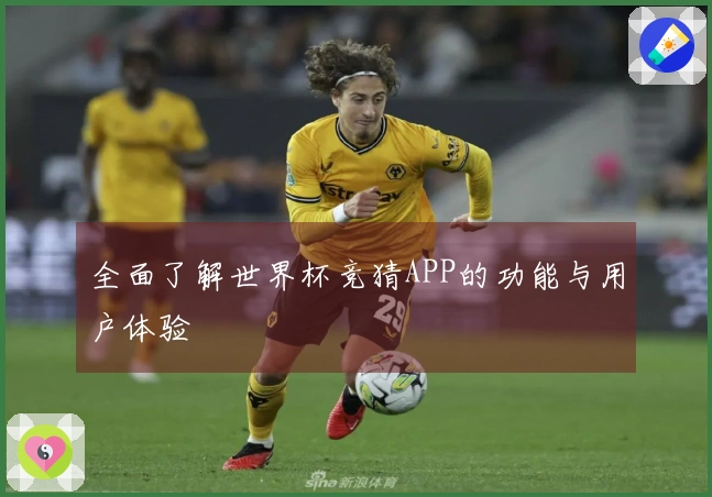全面了解世界杯竞猜APP的功能与用户体验
