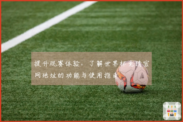 提升观赛体验，了解世界杯竞猜官网地址的功能与使用指南