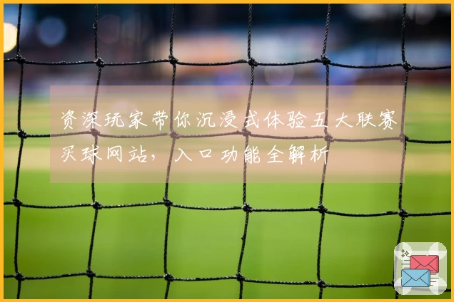 资深玩家带你沉浸式体验五大联赛买球网站,入口功能全解析