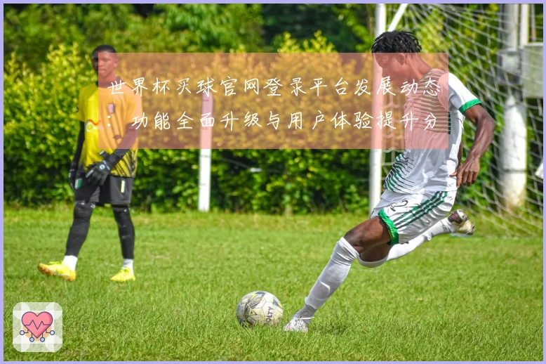 世界杯买球官网登录平台发展动态：功能全面升级与用户体验提升分析