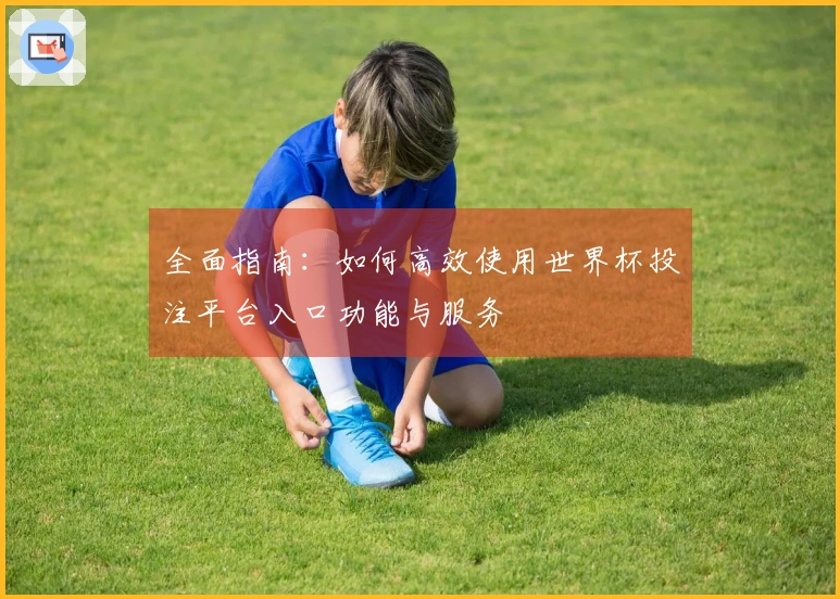 全面指南：如何高效使用世界杯投注平台入口功能与服务