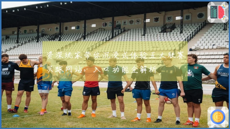 资深玩家带你沉浸式体验五大联赛买球网站，入口功能全解析