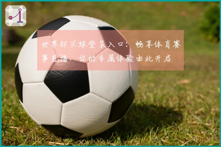 世界杯买球登录入口:畅享体育赛事直播,你的专属体验由此开启